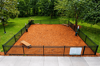 Regency park bark park